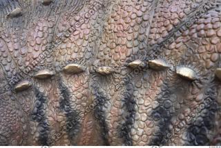 Photo Textures of Animals Skin
